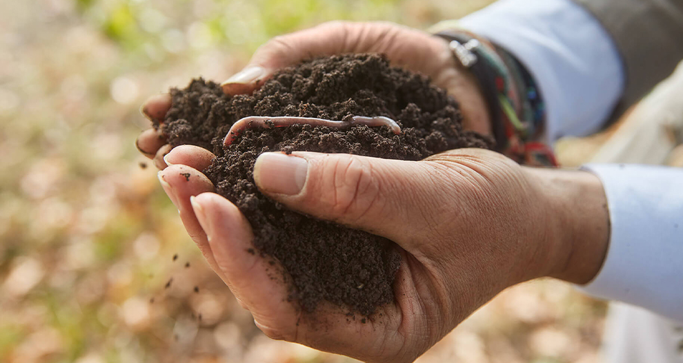 Ruka drží tmavú zeminu s viditeľným červom.